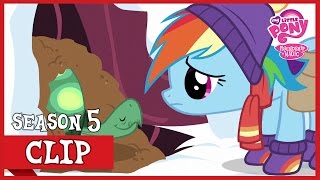 Rainbow Let Tank Hibernate Tanks for the Memories  MLP FiM HD [upl. by Castillo]