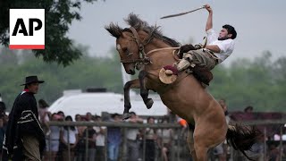 Argentines celebrate Tradition Day showcasing the gaucho culture [upl. by Kasper]