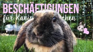 10 Beschäftigungen für Kaninchen 🐰 [upl. by Drahnreb]