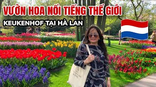 Keukenhof 2022 mời Quý Vị xem toàn cảnh vườn hoa TULIP nổi tiếng nhất thế giới sau hai năm Covid [upl. by Aserret110]