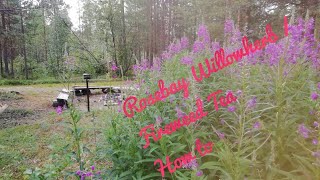 Rosebay Willowherb Fireweed tea preparation [upl. by O'Brien]