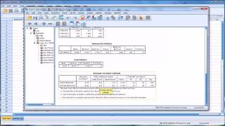 Determining InterRater Reliability with the Intraclass Correlation Coefficient in SPSS [upl. by Caesaria]