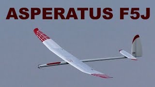 ASPERATUS DNZ gliders F5J RC glider 2019 [upl. by Kilian]