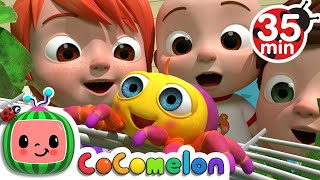 Itsy Bitsy Spider  Super Simple Songs  KIDS TV More Nursery Rhymes amp Kids Songs  CoComelon [upl. by Ganny]