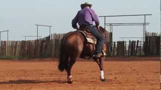 Reiner vs Cow Horse [upl. by Sochor]