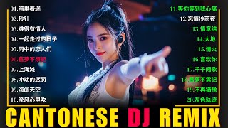 Cantonese Remix 2025【DJ粵語】01晚风心里吹 02真的爱你 03难得有情人 04活着 05秒针 06来生缘 07暗里着迷 08一起走过的日子  必听经典粤语歌DJ [upl. by Etienne]