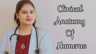 Clinical Anatomy of Humerus  Common site for fracture  volkmanns ischaemic contracture [upl. by Rolyt768]