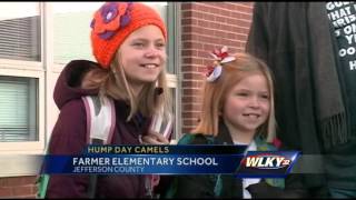 Hump day camels visit Farmer Elementary School [upl. by Radnaxela]