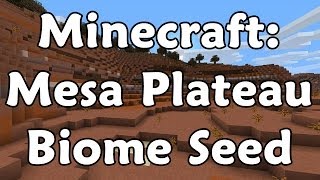 Minecraft Epic Mesa Plateau Seed LARGE [upl. by Mccartan221]