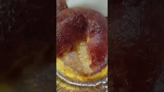 itna soft gulab jamun kitne kha loge Aap comment mai bolo [upl. by Yrocal77]