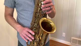 Selmer Mark VII Alto Saxophone Demo wwwdcsaxcom [upl. by Wyn569]