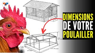 Un BON BÂTIMENT délevage DE POULET GOLIATH les dimensions de votre poulailler investir au pays [upl. by Bucher]