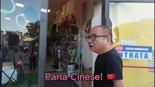 ITALIANO PARLA CINESE  REACTION [upl. by Leone981]