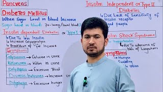 Diabetes mellitus class 12 MDCAT Biology Insulin shock Syndrome [upl. by Kerwon540]