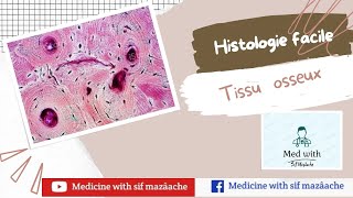 5 Le Tissu osseux  Histologie 1ère année MED [upl. by Crosby62]