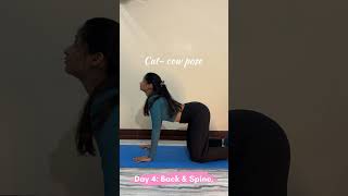 Day 4 back and spine 7 days beginner yoga series [upl. by Sudnor]