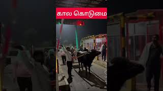 மாட்டு வண்டிக்கு toll gate வரி கட்டனும  Toll Gate  கால கொடுமை  Toll Parithabangal  bjp modiji [upl. by Keraj]