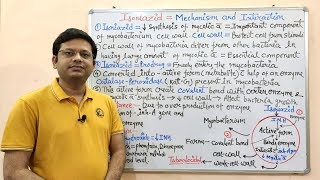 Antitubercular Drug Part03 Isoniazid  Mechanism of Action of Isoniazid  Isoniazid  Anti TB [upl. by Melisande]