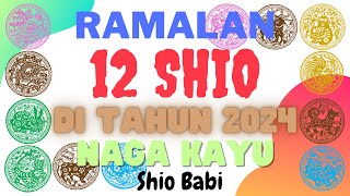 Shio Babi di Tahun 2024 [upl. by Wallach]