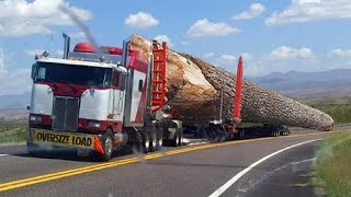 Amazing Fastest Heavy Logging Truck Operator  Extreme Overload Truck amp Heavy Wood Sawmill Machinery [upl. by Seroka]