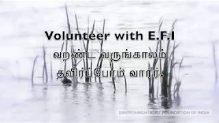 Volunteer with EFI [upl. by Aivila]