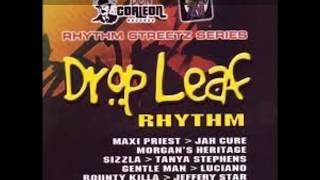 Drop Leaf Riddim Mix 2005  DJ Smilee [upl. by Bette-Ann]