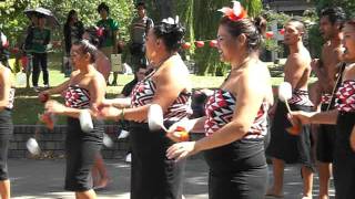 Maori Traditional Music [upl. by Oirelav]