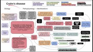 Crohns disease mechanism of disease [upl. by Hayyifas672]