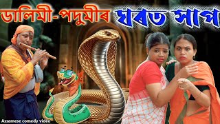 Dalimi Podumi ৰ ঘৰত সাপ  Assamese funny video  Assamese comedy video [upl. by Hoisch]