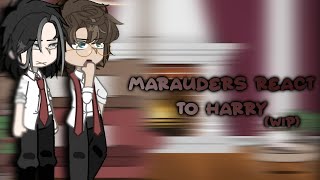 Marauders react to harry potter WIP [upl. by Nay930]