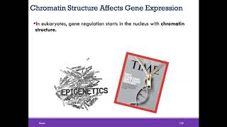 BIO1 Online  Chapter 7 DNA Structure and Gene Function Part 2 of 2 [upl. by Akirehc21]