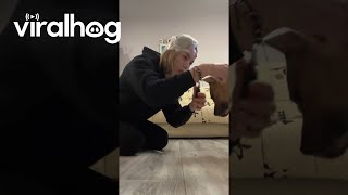 Canine Nail Trimming Lifehack  ViralHog [upl. by Brit]