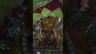 Aapne mata pita me hi bhagwan dekhane ki khosis kro 🙏🌺🌺shortvideo jayshreekrishna [upl. by Egdamlat207]