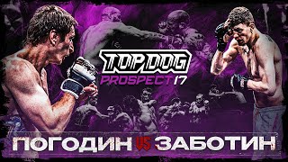 TOP DOG PROSPECT 17 Тула  Валера VS Погодин [upl. by Lorelie]