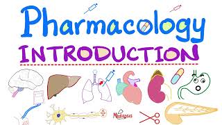 Pharmacology Intro  Pharmacokinetics Pharmacodynamics Autonomic Neuro Cardiac Respiratory GI [upl. by Cosette]