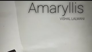 Amaryllis  Original Piano Composition [upl. by Ahsaek]