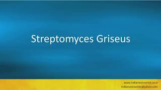 Pronunciation of the words quotStreptomyces Griseusquot [upl. by Aihsaei]