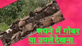 सपने में गोबर या उपले देखना Seeing animal dung or cow dung in dreamssapne me gobar dekhna [upl. by Damal444]