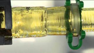 Reaction of Chlorine with Sulfur [upl. by Alraep]