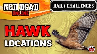 Red Dead Online  Hawk Location  RDR2 Daily Challenge Hawks Plucked [upl. by Cloe]