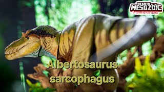 Beasts of the Mesozoic  Albertosaurus sarcophagus unboxing and showcase [upl. by Dolan611]