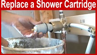 How to Replace a Delta Shower Cartridge [upl. by Treacy]