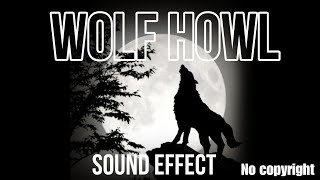 Wolf howl sound effect  night wolf sound  no copyright  free [upl. by Rehpotsihrc]