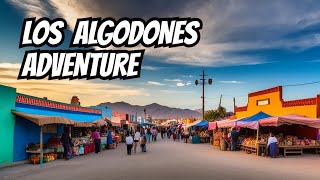 Los Algodones Mexico  Palm Springs Day Trip [upl. by Orravan]