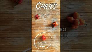 Chilies  tastetheingredients [upl. by Randolf]