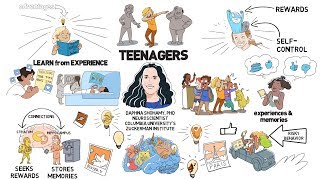 Teenage Brains Wired to Learn [upl. by Devina]