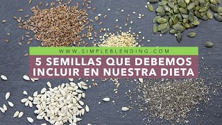 5 SEMILLAS QUE DEBEMOS INCLUIR EN NUESTRA DIETA  Semillas en la alimentación [upl. by Rozek604]