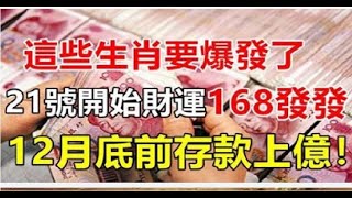 這些生肖要爆發了，21號開始財運一路發。 星座生肖 [upl. by Collier]