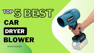 Top 5 Best Car Dryer Blowers 2024 [upl. by Irovi]