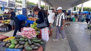 FEIRA de Carnaubal Ceará dia 08032024 [upl. by Armelda589]